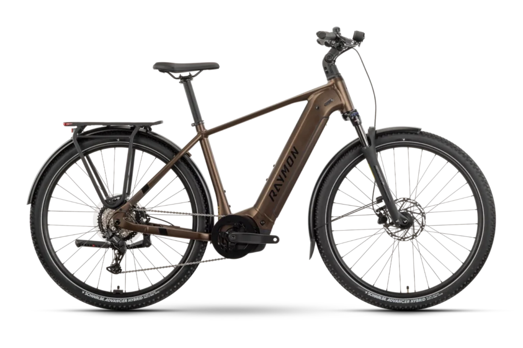 RAY Tahona tenmoku Diamant front